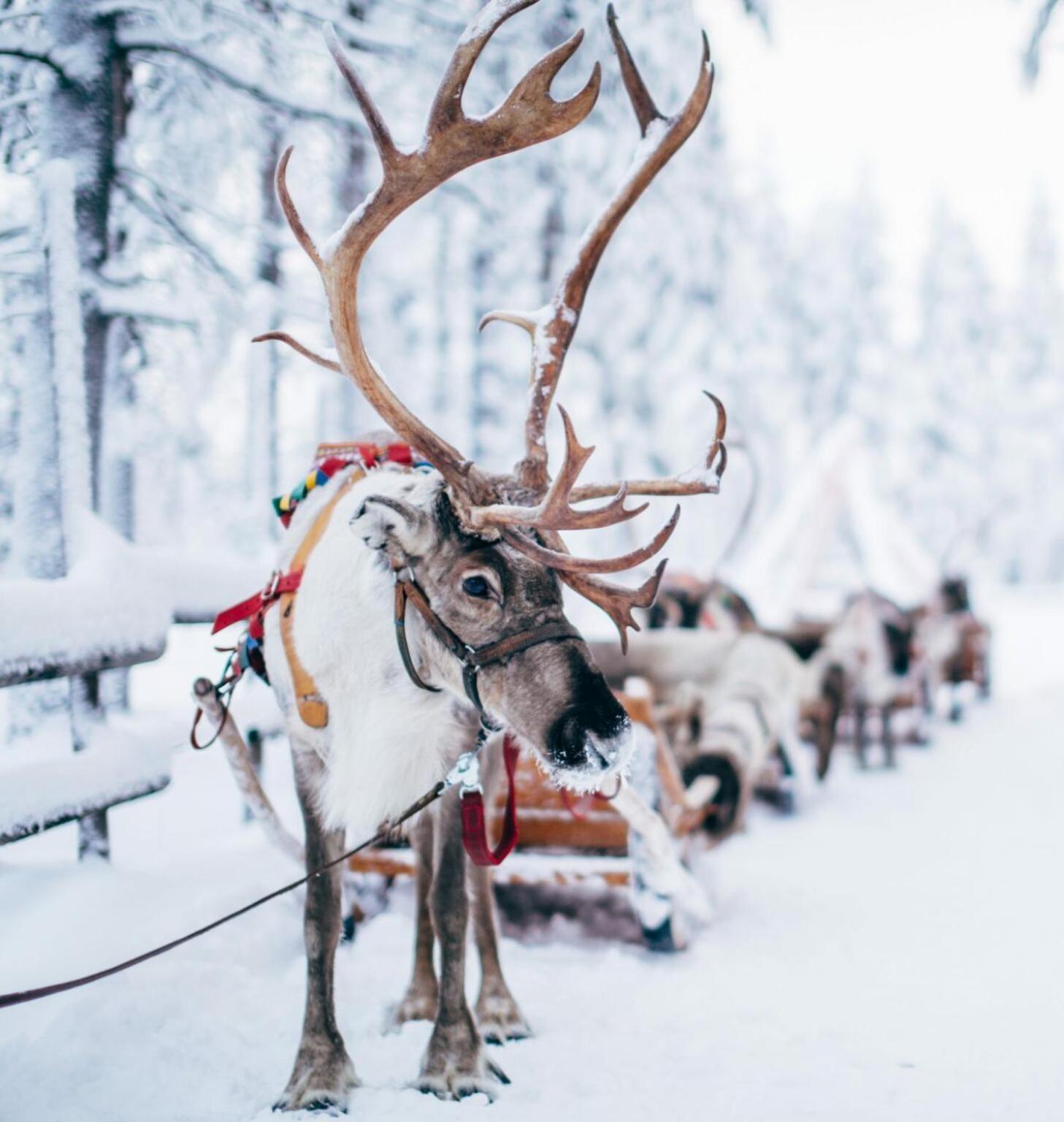 Rovaniemi Studio 32 Muurola Dış mekan fotoğraf